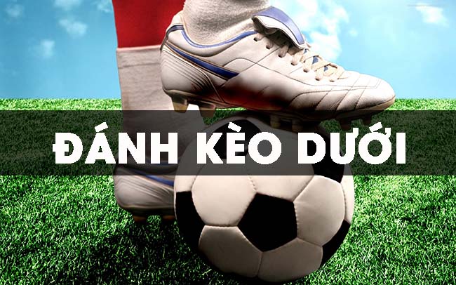 ca cuoc keo duoi bong da 6811d4a992e3e