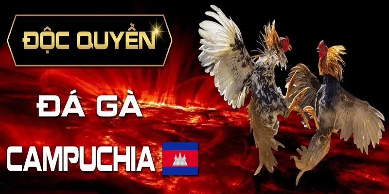 da ga campuchia 6811e3b3d8b73