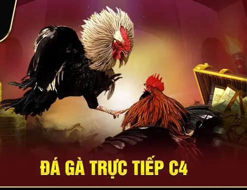 da ga truc tiep c4 6811e71ed99b1