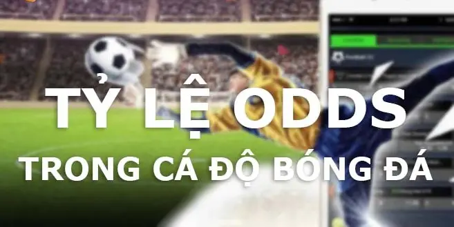 Odds trong cá cược là gì - Thấu hiểu tỷ lệ cược và chiến thắng thông minh
