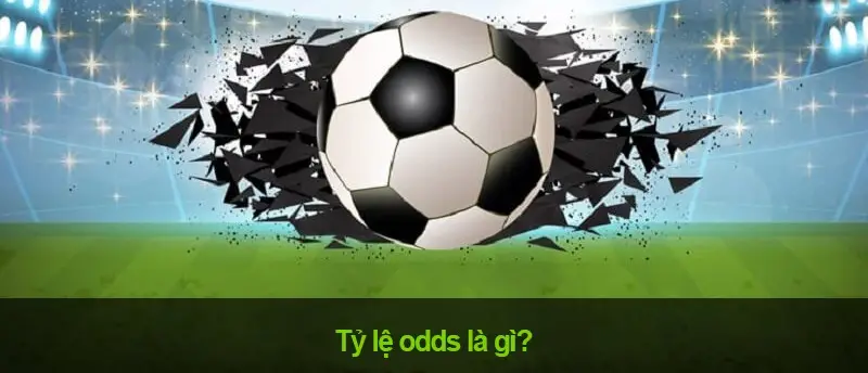 Odds trong cá cược là gì - Thấu hiểu tỷ lệ cược và chiến thắng thông minh
