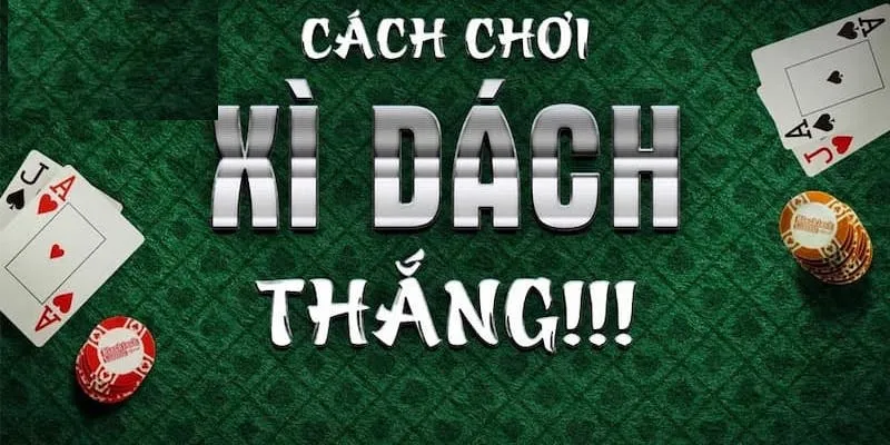 Thắng lớn với Chơi bài xì dách TDTC Bí quyết và kinh nghiệm chinh phục game