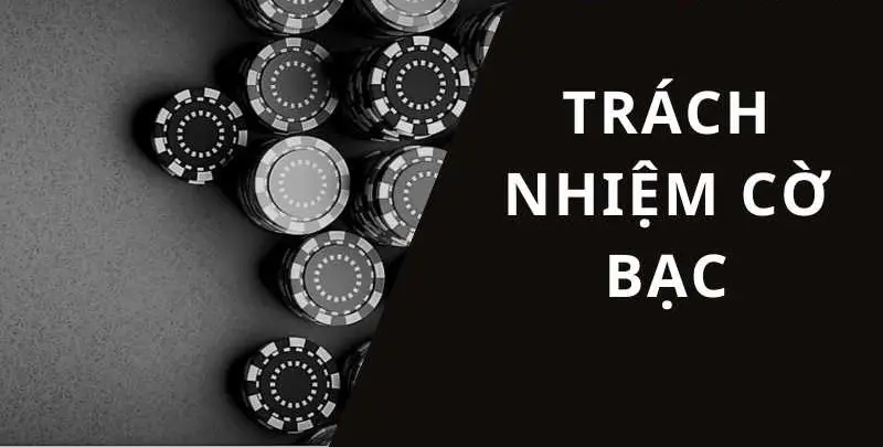 Trở Thành Người Chơi Thông Thái Chơi Có Trách Nhiệm nhà cái TDTC